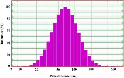 Figure 3 Particle size analysis of Artemisia argyi leaf extract-synthesized AgNPs.