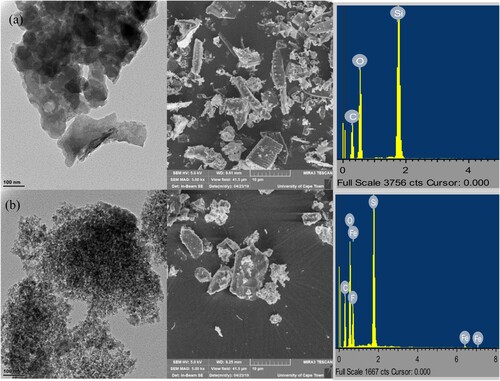 Figure 4. TEM, SEM and EDX micrographs of (a) raw silica (b) acetylated silica.