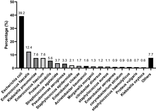 Figure 1 Distribution of main bacterial pathogens causing UTIs among patients from 2020 to 2022. The number above the histogram represents the percentage of the corresponding strain.