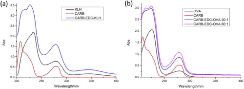 Figure 2. The ultraviolet–visible absorption spectra of artificial antigen. (a) CARB-EDC-KLH; (b) CARB-EDC-OVA.