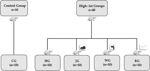 Figure 1. Dietary protocol. Experimental model: (CG) Control group supplemented with control feed and water; (HG) High-fat diet group received high-fat diet and water; (JG) Grape juice group represents animals submitted to high-fat diet treated with grape juice (15 mL/day) and water; (WG) Wine group represents animals submitted to high-fat diet treated with red wine (10 mL/day) and water; (RG) Resveratrol group represents animals submitted to high-fat diet treated with resveratrol solution isolated (15 mL/day – 40 mg/L) and water. Diets and solutions were administered during a period of 60 days.