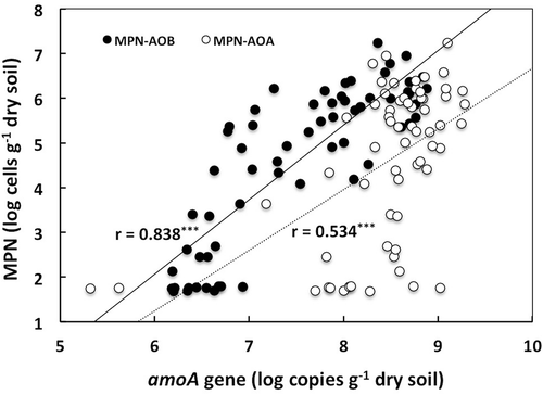 Figure 4. Relationships between copy numbers of amoA gene of ammonia-oxidizing bacteria (AOB) and ammonia-oxidizing archaea (AOA), and viable number of ammonia oxidizers (MPN).