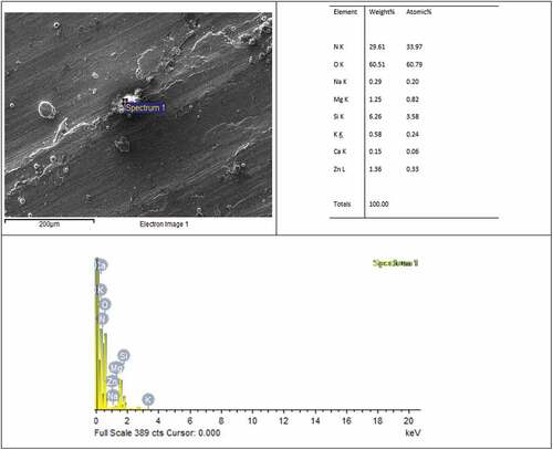 Figure 17. SEM-EDAX of the oxide deposit formed in composite under the operating temperature of 210°C; 50 N load and 200 rpm disc speed.