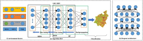 Figure 1. Algorithm flow and Dropout architecture: (a) algorithm flow; (b) dropout architecture.