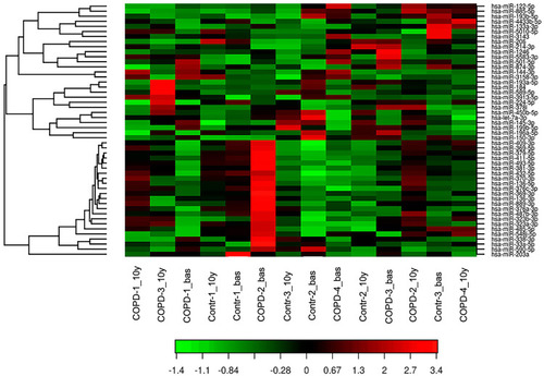 Figure 1 Heat Map showing the expression profiling of circulating miRNAs in patients with COPD and control smokers without COPD. miRNA assay by NGS was performed in 14 serum samples (7 corresponds to baseline (named COPD-1 to 4_bas and Controls-1 to 3_bas) and 7 to the sample individuals after 10 years of follow-up (named COPD-1 to 4_10y and Controls-1 to 3_10y)). Red represents a high level of gene expression while green represents a low level of expression.