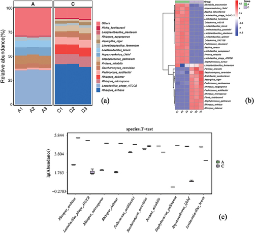 Figure 2. Microbial community (Group A:JDSB, Group C: jiaotou). (a) Histogram of top 15 and (b) top 30 most abundant species. (c) Boxplot of the abundance of the top 10 divergent species.