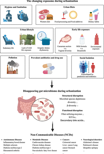 Figure 1. The changing exposome during urbanization is linked to an impaired gut microbiome assembly and non-communicable diseases.