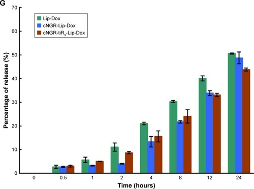 Figure 5 (A–C) Size distribution of Lip-Dox (A), cNGR-Lip-Dox (B), and cNGR-tiR9-Lip-Dox (C) by dynamic light-scattering analysis (average size 150 nm). (D–F) Transmission electron-microscopy images of Lip-Dox (D), cNGR-Lip-Dox (E), and cNGR-tiR9-Lip-Dox (F). (G) A dialysis approach was used to explore the in vitro release profile of drug from various liposomes in PBS (pH 7.4, n=3). Aliquots were removed at altered time points and drug analyzed using fluorophotometry (λex=485 nm, λem=590 nm). Values shown are mean ± SEM.Abbreviations: cNGR, cyclic asparagine–glycine–arginine; Dox, doxorubicin; Lip, liposomes; tiR9, tandem-insert nona-arginine.