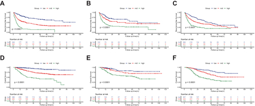 Figure 4 Kaplan-Meier survival curves for subgroups of patients estimating recurrence-free survival in the training cohort (A), internal validation cohort (B) and external validation cohort (C) and overall survival in the training cohort (D), internal validation cohort (E) and external validation cohort (F).