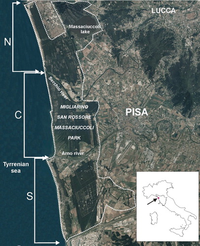 Figure 1. The study area and the three sectors of the investigated coast.