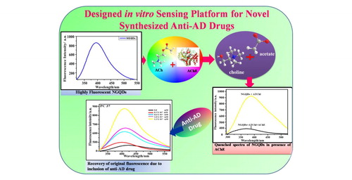 Interaction of synthesized nitrogen enriched graphene quantum dots with acetylcholine. Recovery of quenched fluorescence upon addition of anti-Alzheimer drugs in a concentration-based manner.