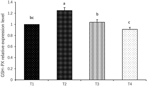 Figure 4. Effect of maternal dietary energy level on relative expression level of GSH-Px mRNA in breast muscle of offspring; abc Means with different letters are significantly different (p<.05); T1: Treatment 1 (11.70 MJ ME kg−1); T2: Treatment 2 (9.36 MJ ME kg−1); T3: Treatment 3 (8.19 MJ ME kg−1); T4 : Treatment 4 (5.85 MJ ME kg−1); ME: Metabolizable energy; GSH-Px = Glutathione peroxidase.