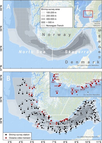 Figure 1. (A) The IMR annual shrimp survey area with depth zones shown in shades of grey. (B) The position of the 111 fixed bottom trawl stations from which bycatch data for the period 2017–2021 were used in this study (black dots), and the 35 localities that was visually mapped by OCEANA in 2016 and 2017 using ROV (Álvarez et al. Citation2019).