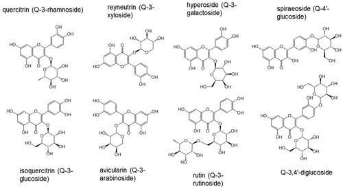 Figure 1. Structures of quercetin glycosides and common names.
