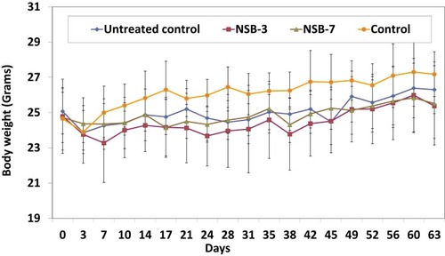 Figure 8 Effect of NSB drug on body weight of SCID mice after oral administration in human breast cancer bearing SCID mice.Note: Untreated control group represents no treatment, only tumor bearing SCID mice, and control group represents no treatment and no tumor bearing mice (healthy control mice).