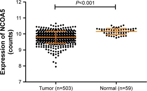 Figure 2 The mRNA expression of NCOA5 in TCGA cohort, including 503 PTC samples and 59 adjacent noncancerous thyroid samples.