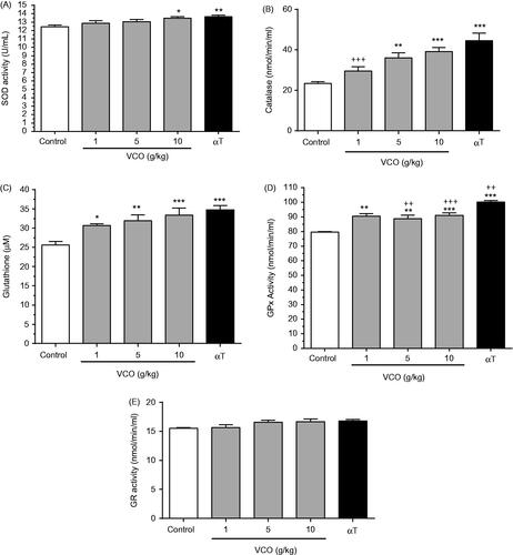 Figure 4. Effects of VCO on antioxidant activity in rat brain. The concentration of antioxidants in rat brain was measured: (A) SOD, (B) CAT, (C) GSH, (D) GPx and (E) GR. Each bar represents mean ± SEM of n = 6. *p < 0.05, **p < 0.01, ***p < 0.001 when compared to control; +p < 0.05, ++p < 0.01, +++p < 0.001 when compared to αT.