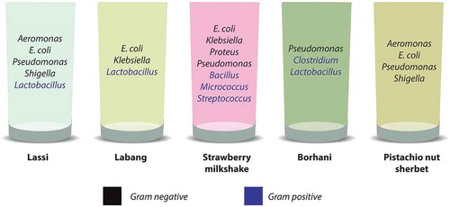 Figure 1. Identified bacterial isolates in the studied dairy beverages.