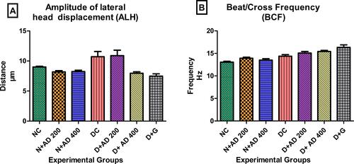 Figure 9 Effect of AD administration on indices of oscillation index; (A) ALH and (B) BCF of spermatozoa in normal and diabetic rats. Bars are indicative of mean values ± SEM of group values.