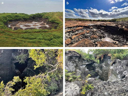 Figure 1. Photos from the LEO post on the sudden lake drainage event that happened on 29 June 2022 (Tessier et al. Citation2022). (a) Oblique aerial photo of the drained lake basin on 10 August 2022 (photo credit: Sebastian Zavoico). (b) Ground photo of the recently exposed drained lake basin floor and (c) the thermo-erosional drainage gully that formed during the drainage event (photo credits: Susan Tessier, 29 June 2022). (d) The thermo-erosional drainage gully fifty-four days after the lake drained showing continued permafrost thaw and ground ice melt since the drainage event (photo credit: Benjamin Jones).