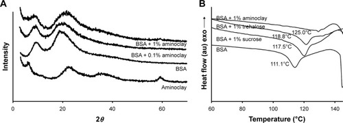 Figure 2 XRPD patterns (A) and DSC thermograms (B) of BSA and freeze-dried cakes.Abbreviations: BSA, bovine serum albumin; DSC, differential scanning calorimetry; XRPD, X-ray powder diffraction.