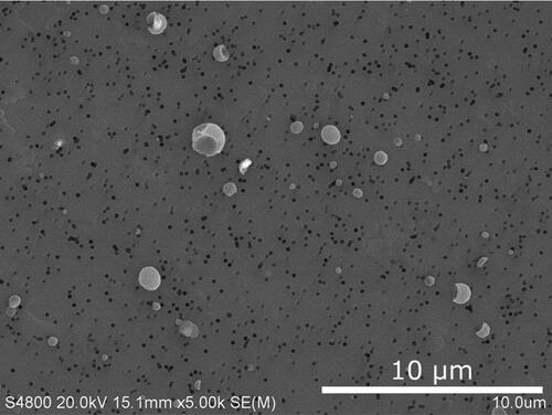 Figure 21. SEM images of LTO explosion aerosols on a nuclepore membrane filter.
