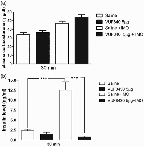 Figure 6. Effect of VUF 8430 administered i.t. on the plasma corticosterone and insulin levels in the IMO model. Mice were pretreated i.t. with 5 µg of VUF 8430 for 10 min. Then, the mice were enforced into IMO for 30 min and returned to the cage. Plasma corticosterone and insulin levels were also measured at 30 min after IMO in VUF 8430 i.t. pretreated mice (Figure 6(a) and 6(b), respectively). The blood was collected from tail-vein. The vertical bars indicate the standard error of the mean (***P < .005; compared to saline + IMO group). The number of animal used for each group was 8.