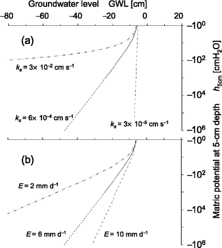 Figure 4. (a) The sensitivity of the h 5cm–GWL relation to the modeled k(h) curve. The three modeled k(h) curves displayed in Fig. 2a were used. The upward water flux E of 6 mm d−1 was consistently adopted in all three simulations. (b) The transition of the h 5cm–GWL relation with varying the upward water flux E. All three curves share the same k(h) = ks /(1 + h/a) with ks  = 6 × 10−4 cm s–1 and a = –0.04, and the chain line denotes E = 10 mm d–1 while the two-dot chain line represents E = 2 mm d–1.