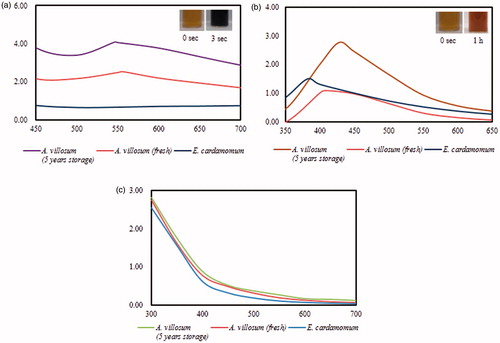 Figure 1. UV-Vis spectra of (a) FA-AuNps, (b) FA-AgNps and (c) aqueous plant extracts. Insets show the colour conversion of reaction mixtures into FA-AuNps (purple) and FA-AgNps (brown).
