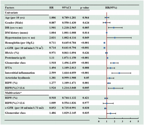 Figure 4. Cox regression analysis for incident ESRD according to baseline variables among 175 patients with DN. *Adjusted for baseline age, gender, DR (yes or no), hypertension (yes or no), DM duration, hemoglobin e-GFR, proteinuria and renal pathological findings (including the glomerular class, IFTA, interstitial inflammation score and arteriolar hyalinosis). 95% CI: 95% confidence interval; HR: hazard ratio; RDW: red cell distribution width.