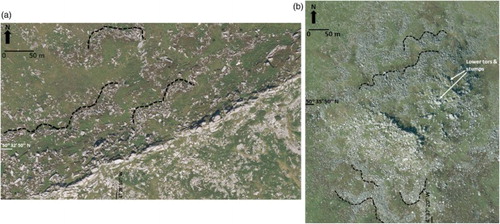 Figure 1. Aerial photograph extracts (Copyright Ordnance Survey) of: (a) Kilmar Tor and its surrounding boulder-fronted lobes (examples highlighted by dashed black lines). Note the narrow ridge-like tor, which is controlled by local bedrock structure, and toppled blocks that lie at the tor base and grade downslope into lobes; and (b) Rough Tor and its surrounding boulder-fronted lobes (examples highlighted by dashed black lines), showing also the narrow ridge-like main tor and lower height tors and stumps.