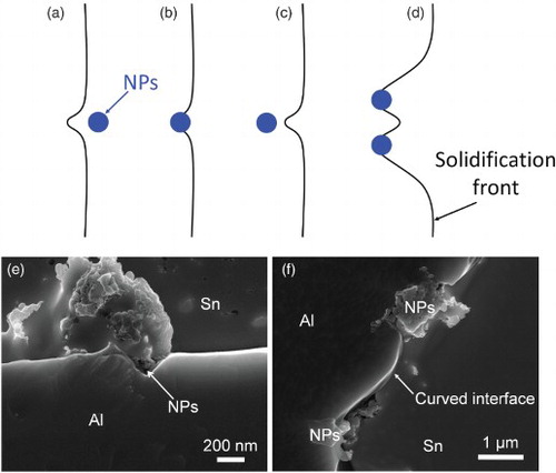 Figure 4. Mechanisms of growth restriction by nanoparticles. (a) Modifying temperature and/or solute concentration fields, (b) blocking diffusion, (c) increasing energy of growing phase, (d) step pining by the Gibbs–Thomson effect, (e) The SEM image of the concave surface of Al phase around nanoparticles, (f) The SEM image of curved surface between two nanoparticles.