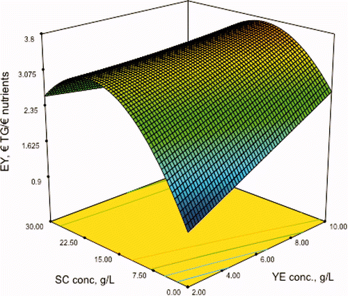 Figure 5. Prediction of the model for economic yield of transglutaminase EY (€/€) obtained in the fermentation at 96 h (TG96) on sodium caseinate (SC) and yeast extract (YE), both in g/L. Figura 5. Predicción del modelo para el rendimiento económico de transglutaminasa EY (€/€) obtenidas en la fermentación a 96 h (TG96) en función del caseinato de sodio (SC) y extract de levadura (YE), ambas en g/L.