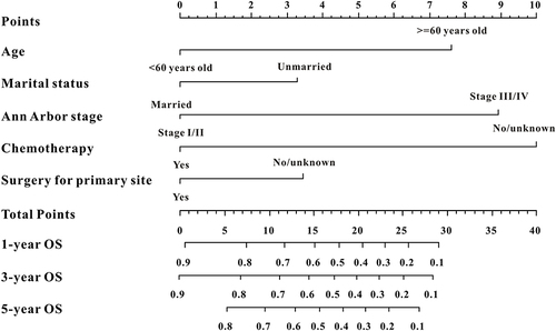 Figure 1 A survival nomogram for predicting 1-year, 3-year and 5-year survival rates of primary small intestinal diffuse large B-cell lymphoma patients.