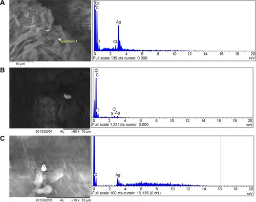 Figure 4 SEM-EDX images of silver particles found in human skin after 24 hours exposure to silver textiles.Notes: Left: SEM image of silver clusters and in the skin layers: (A) epidermis, material 1; (B) dermis, material 2; (C) epidermis, material 3. Right: EDX spectral identification.Abbreviations: EDX, energy dispersive X-ray spectroscopy; SEM, scanning electron microscopy.