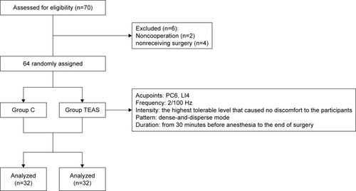 Figure 1 Experimental flow of this study.