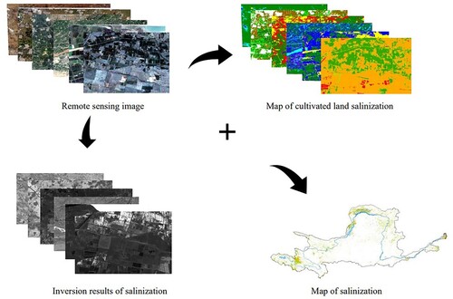 Figure 4. Classification process map.