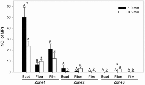 Figure 2. Mean number (mean ± SE) of beads, fibers and films transported by F. candida in zone 1, zone 2 and zone 3. Different letters above the bars indicate significant differences among shapes in each zone (capital and lowercase letters for 1.0 mm and 0.5 mm MPs, respectively). The asterisk (*) indicates significant differences between sizes in each zone.