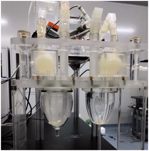 Figure 3. The home-made extracorporeal circulation simulation system.