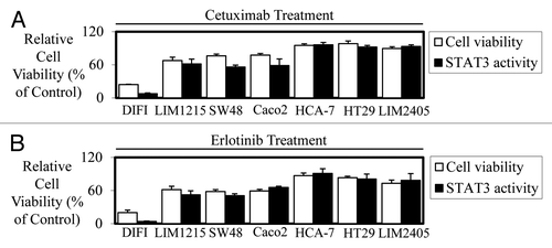 Figure 2. Efficacy of cetuximab and erlotinib correlates to STAT3 transcriptional activity in colon cancer cell lines in vitro. Wild-type K-Ras expressing colon cancer cells were treated in triplicate with (A) cetuximab (± 10 µg/ml) and (B) erlotinib (± 2.5 µM) to assess their effect on cell viability (□) and STAT3 transcriptional activity (■). Cell viability was determined using a commercially available Cell Titer-Glo kit and samples read on a bioluminometer. Data are expressed as % viability compared with untreated control cells ± SD. STAT3 transcriptional activity was determined using a bioluminometer after infection with the Ad-APRE-luc adenovirus and treatment with cetuximab and erlotinib. Data are expressed as percentage STAT3 activity relative to untreated cells ± SD.