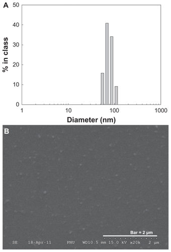 Figure 2 Typical particle size (A) and SEM photo (B) of PDA-incorporated PGA nanoparticles.Note: Composition of PDA/PGA is PDA5 in Table 1.Abbreviations: PDA, p-phenylenediamine; PGA, poly(γ-glutamic acid); SEM, scanning electron microscopy.