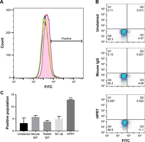 Figure 2 HPRT surface expression on A549 non-small-cell lung cancer cells.