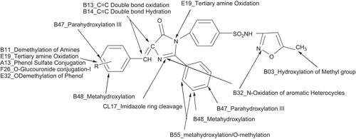 Figure 2.  Predicted metabolic position of imidazolinones (Ib–VIb) derivatives.