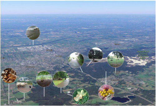 Figure 4. Trajectory 3: Participants’ favorite locations in the wide(r) environment.