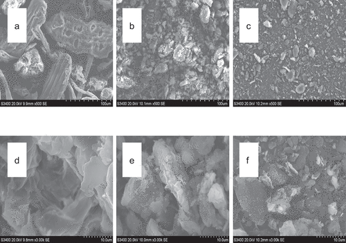 Figure 1. SEM of BSDF before and after modification, SEM (a) standard unmodified BSDF (500×), (b) standard modified by extrusion (500×), (c) standard modified by extrusion combined with cellulase (500×), (d) standard unmodified BSDF (3000×), (e) standard modified by extrusion (3000×), and (f) standard modified by extrusion combined with cellulase (3000×).