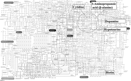 Figure 4. KEGG pathway analysis. Significant metabolites of the Zn-PO group are mapped to KEGG metabolic pathways. https://www.genome.jp/kegg-bin/show_pathway?153251030022929/map01100.args.