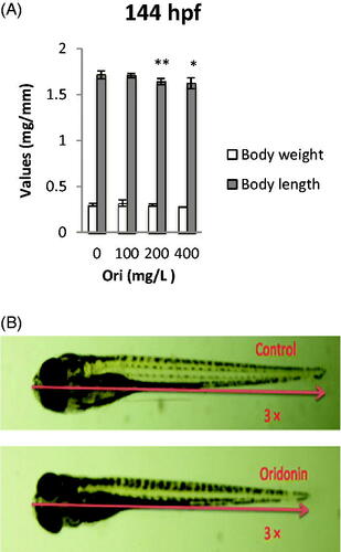 Figure 6. Effects of oridonin on body weight and length for zebrafish embryos. Note: Asterisks indicate statistically significant differences between different concentration of oridonin groups and the without oridonin group (*p < 0.05; **p < 0.01). Each error bar represents the standard deviations of at least three experiments. Ori: Oridonin.