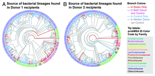 Figure 5. Source of bacterial lineages found in (A) Donor 1 recipient mice gavaged weekly and (B) Donor 2 recipient mice gavaged weekly. prokMSA IDs are colored according to bacteria families, as indicated in the figure legend, while each branch is colored according to its source, as follows: red, detected in the donor only; pink, detected in both the donor and recipient mouse; blue, detected in control mice only; and gray, detected in neither control or donor.