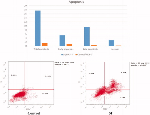Figure 10. Representative dot plots of MCF-7 cells treated with 5f (0.66 μM) for 24 h and analyzed by flow cytometry after double staining of the cells with annexin-V FITC and PI.