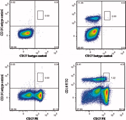 Figure 1. Representative dot-plots of CD19+CD27+ memory B-cells isolated by FACS. To isolate memory cells, PBMC were stained with FITC-conjugated anti-CD19 and PE-conjugated anti-CD27+ antibodies. The positive fraction was determined in comparison with isotype-matched control treated cells. Sorting gates were designed based on levels of marker expression.